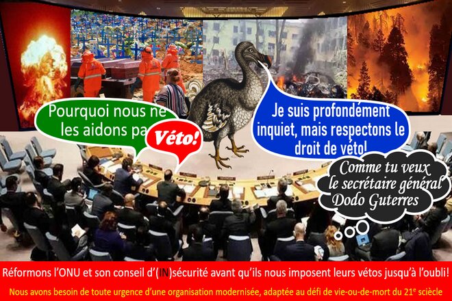 Slika peticije Réforme des Nations Unies et de son Conseil de sécurité  pour éviter les statu quo à répétition