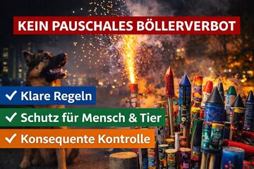 Bild der Petition Regeln statt Böllerverbot – für ein sicheres und verantwortungsvolles Silvester