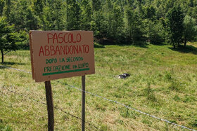 Foto della petizione:Regolamentare la presenza del LUPO