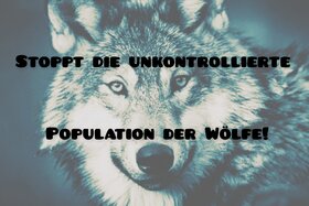 Bild der Petition: Regulierung der Wolfspopulation