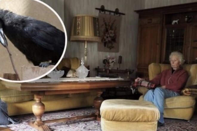 Image de la pétition Renate Schoemann und Charly gehören zusammen!