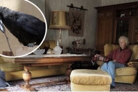 A petíció képe: Renate Schoemann und Charly gehören zusammen!