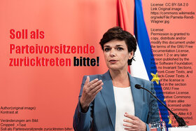 Снимка на петицията:#rendirücktrittsbegehren Dr. Pamela Rendi-Wagner soll als SPÖ-Bundesparteivorsitzende endlich gehen!