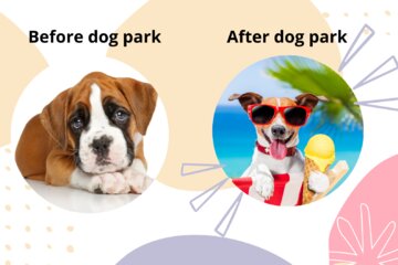 Petitsiooni pilt Request for a Dog park in Mamer