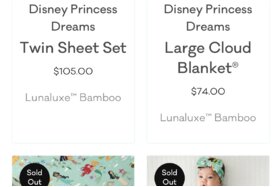 Bild på petitionen:Rerelease Little Sleepies Disney Princesses for all the Princess Moms who missed out!