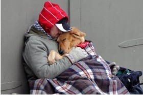 Bild på petitionen:Ressourcen für Obdachlose nutzen