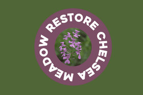 Foto e peticionit:Restore Chelsea Meadow