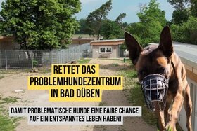 Foto da petição:Rette das Problemhundezentrum in Bad Düben!