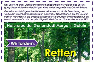 Bild der Petition Retten statt Roden ! -> 100-Jährige Lindenallee in der Gartenstadt Marga erhalten