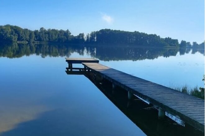 Rettet Brandenburgs Stege! dilekçesinin görüntüsü