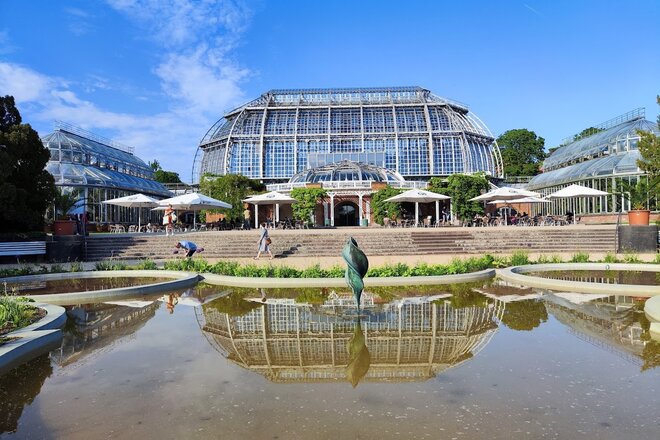 Image of the petition Rettet das Café im Gewächshaus des Botanischen Gartens Berlin