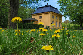 Bild der Petition: Rettet das Jugend-Öko-Haus im Großen Garten Dresden!