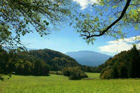 Photo de la pétition :Rettet das Naturjuwel Warmbad (Naturschutzgebiet/Natura 2000) in Villach