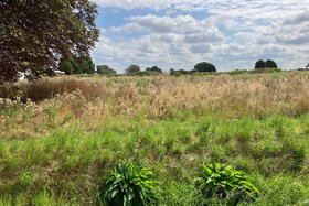 Bild der Petition: Rettet das Naturschutzgebiet! Macht aus dem Haartal kein Ahrtal!
