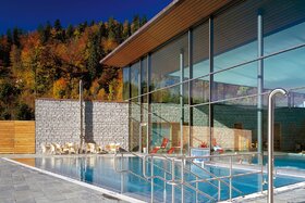 청원서 이미지: Rettet das Revital Bad in Menzenschwand