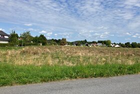 Bild der Petition: Rettet das Vogelschutzgebiet! Macht aus dem Haartal kein Ahrtal!