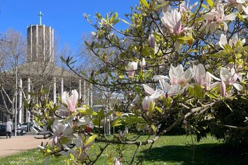 Immagine della petizione Rettet den Alwin-Mittasch-Park 2026!