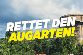Foto da petição:Rettet den Augarten - Gegen Baumfällungen und Eventzone