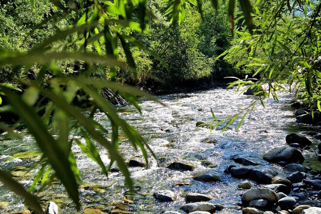 Imazh i peticionit Rettet den Auwald in Schruns/Tschagguns