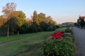 Slika peticije: Rettet den Bansen – Kein Radweg durch unser Naturparadies!