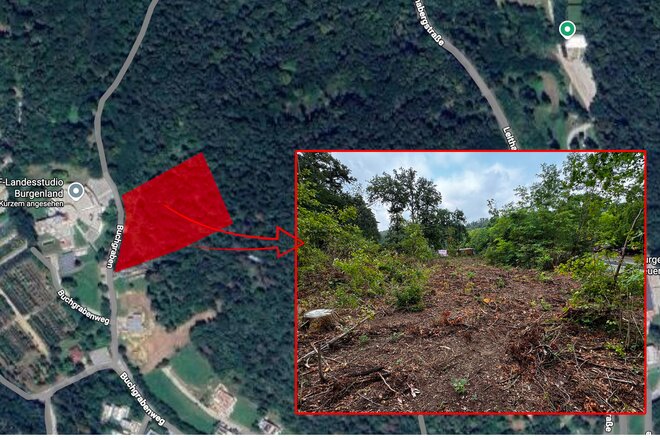 Rettet den Burgstallberg in Eisenstadt dilekçesinin görüntüsü