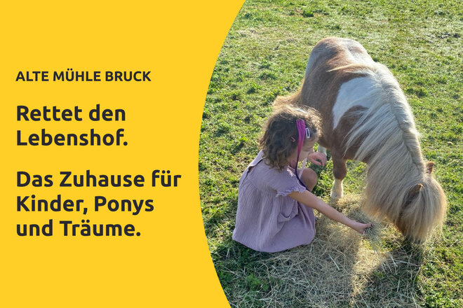 Bild der Petition Rettet den Lebenshof Alte Mühle Bruck – bevor ein Zuhause für immer verloren geht!