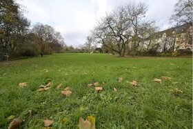 Bild der Petition: Rettet den Marienpark im Hemshof!