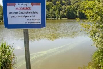 Bild der Petition Rettet den Niederwürzbacher Weiher: Für eine nachhaltige Sanierung durch das Rinnen- und Fallenkonze