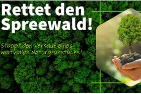 Bild der Petition: Rettet den Spreewald! Stoppt den Verkauf eines wertvollen Naturgrundstücks!