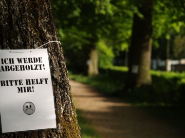 Foto e peticionit:Rettet den Stadtwald