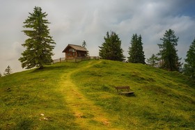 Image of the petition: Rettet die Almen!