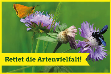 Bild der Petition Kollaps verhindern Artenvielfalt