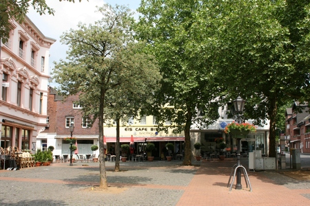 Foto della petizione:Rettet die Bäume auf dem Alten Markt in Dülken
