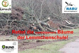 Kuva vetoomuksesta:Rettet die Bäume der Lemmchenschule!