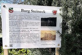 Bild der Petition: Rettet die Burg Steineck – Keine Luxuswohnungen auf Kosten unserer Geschichte, Natur und Zukunft!