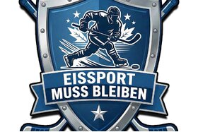 Bild der Petition: Rettet die Eishalle In Netphen