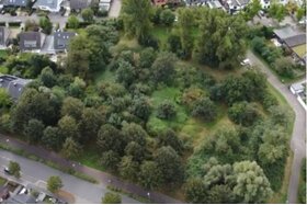Picture of the petition:Rettet die Grünfläche in Meerbusch Lank - für Natur Bäume und unsere Zukunft!