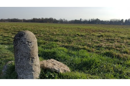 Bild av namninsamlingen Rettet die Lipperheide!