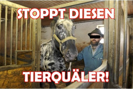 Малюнок петиції:Rettet die Pferde vor Ulrich K.