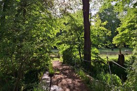 Picture of the petition:Rettet die Steindeckerbrücke und das Naturparadies an der alten Wassermühle!
