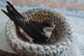 Slika peticije: Rettet die vermutlich größte Mehlschwalbenkolonie an den Kühltürmen des AKW Biblis!!!