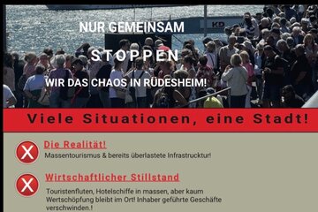 Image of the petition Rettet Rüdesheim: Für eine bürgernahe Verkehrspolitik und Lebensqualität der Einwohner!