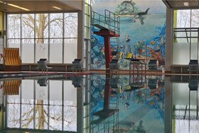 Dilekçenin görseli: Rettet unsere Schwimmhalle!