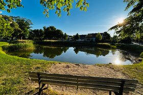 Bild der Petition: Rettet unseren Dorfteich – für Natur, Tiere und unsere Dorfgemeinschaft