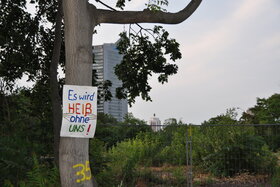 Bild der Petition: Rettung aller (noch) vorhandener Bäume auf Leipzigs zentralem Wilhelm-Leuschner-Platz!