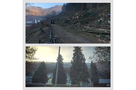 Foto van de petitie:Rettung der Bäume in Brodenbach!!!