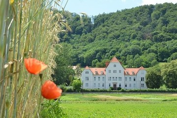 Imagen de la petición Rettung Der Gründe Der Land Und Forstwirschaftsschule