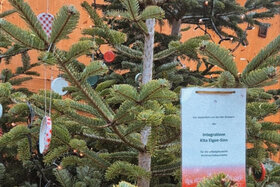 Petitsiooni pilt: Rettung der integrativen Kita Eigen-Sinn in Quedlinburg