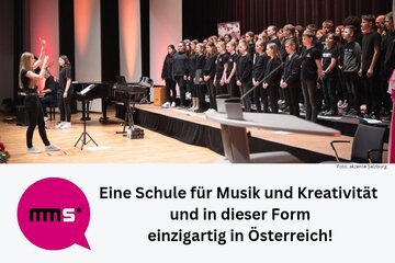 Immagine della petizione Rettung des musisch-kreativen Zweiges der MMS Zell am See