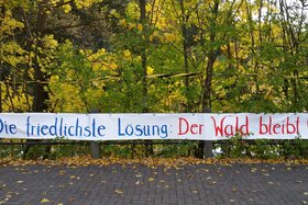 Bild der Petition: Rettung der Natur im Bahnhofswald in Flensburg